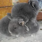 Séjour chez l'habitant Moser Bad Gastein