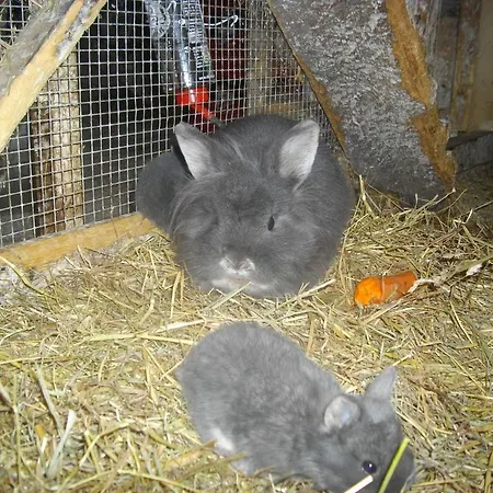 Moser Ubytování v soukromí *